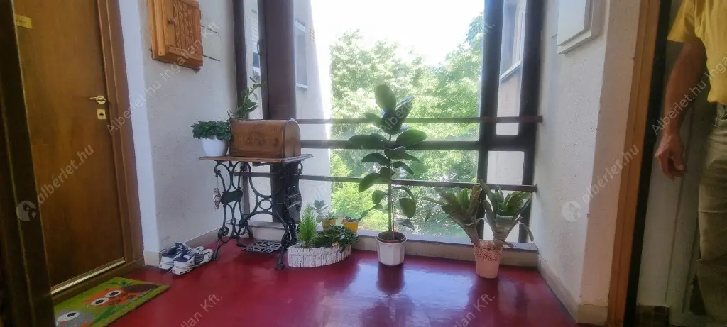 Kiadó albérlet 250000 Ft/hó áron: Budapest, II. kerület  Pasaréti út. Mérete: 53 nm, 2 szobás | Alberlet.hu - 6615563