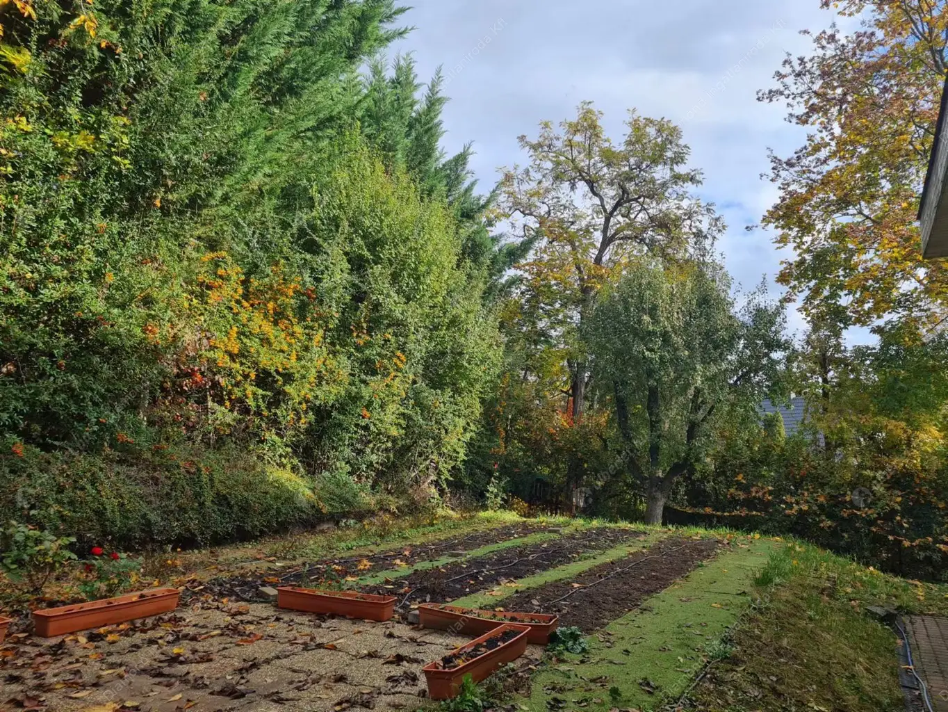 Kiadó albérlet 777000 Ft/hó áron: Budapest, II. kerület  Remetekertvaros  . Mérete: 330 nm, 4 szobás | Alberlet.hu - 5997813