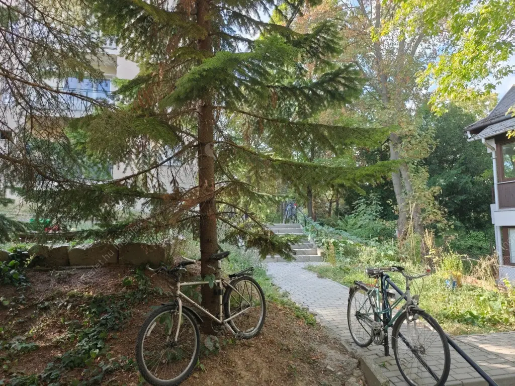 Kiadó albérlet 230000 Ft/hó áron: Budapest, II. kerület  Rókushegyi lépcső. Mérete: 52 nm, 2 szobás | Alberlet.hu - 6549614