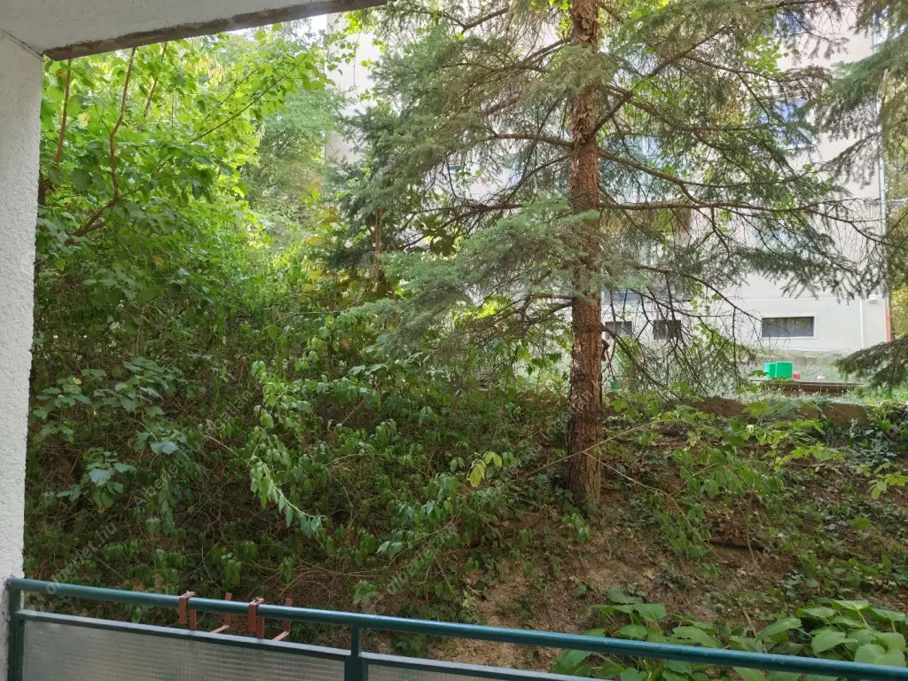 Kiadó albérlet 230000 Ft/hó áron: Budapest, II. kerület  Rókushegyi lépcső. Mérete: 52 nm, 2 szobás | Alberlet.hu - 6549615