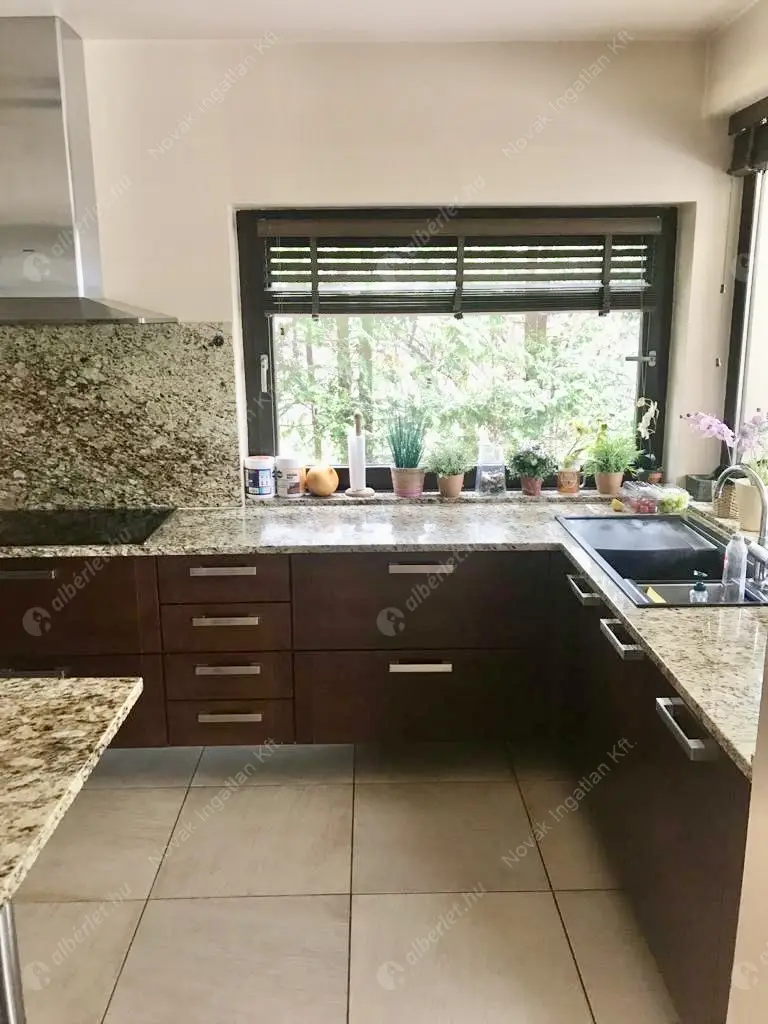 Kiadó albérlet 1917000 Ft/hó áron: Budapest, II. kerület  Sólyomvölgy utca. Mérete: 230 nm, 6 szobás | Alberlet.hu - 6587747