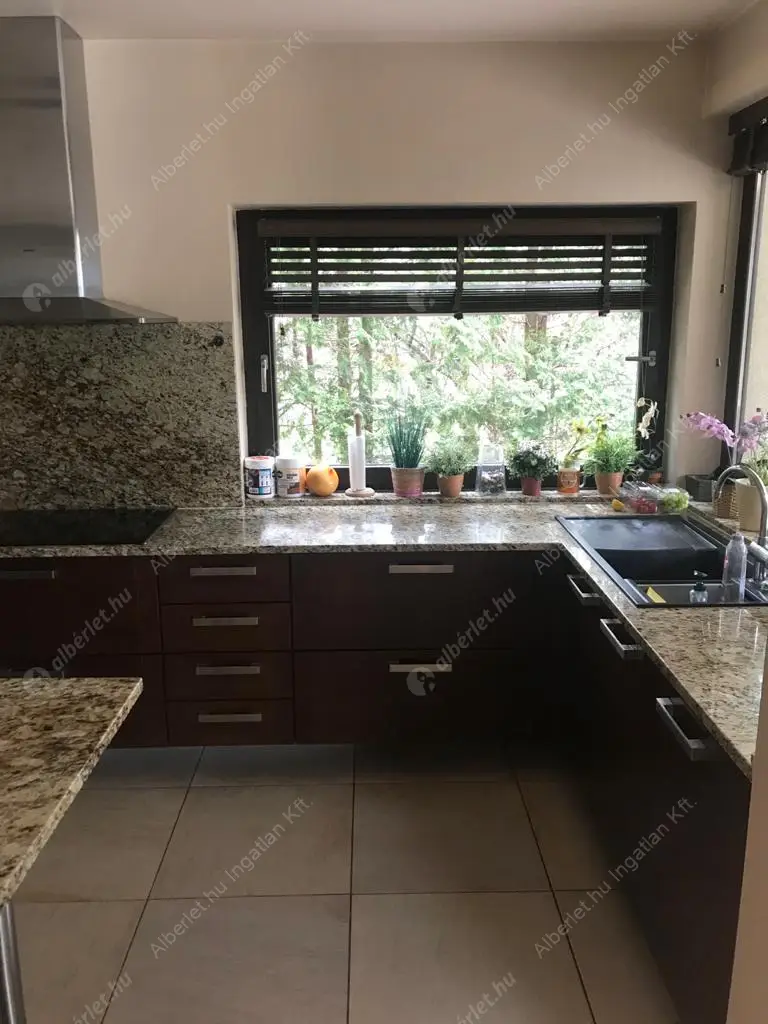 Kiadó albérlet 2000000 Ft/hó áron: Budapest, II. kerület  Sólyomvölgy utca. Mérete: 230 nm, 6 szobás | Alberlet.hu - 6600160