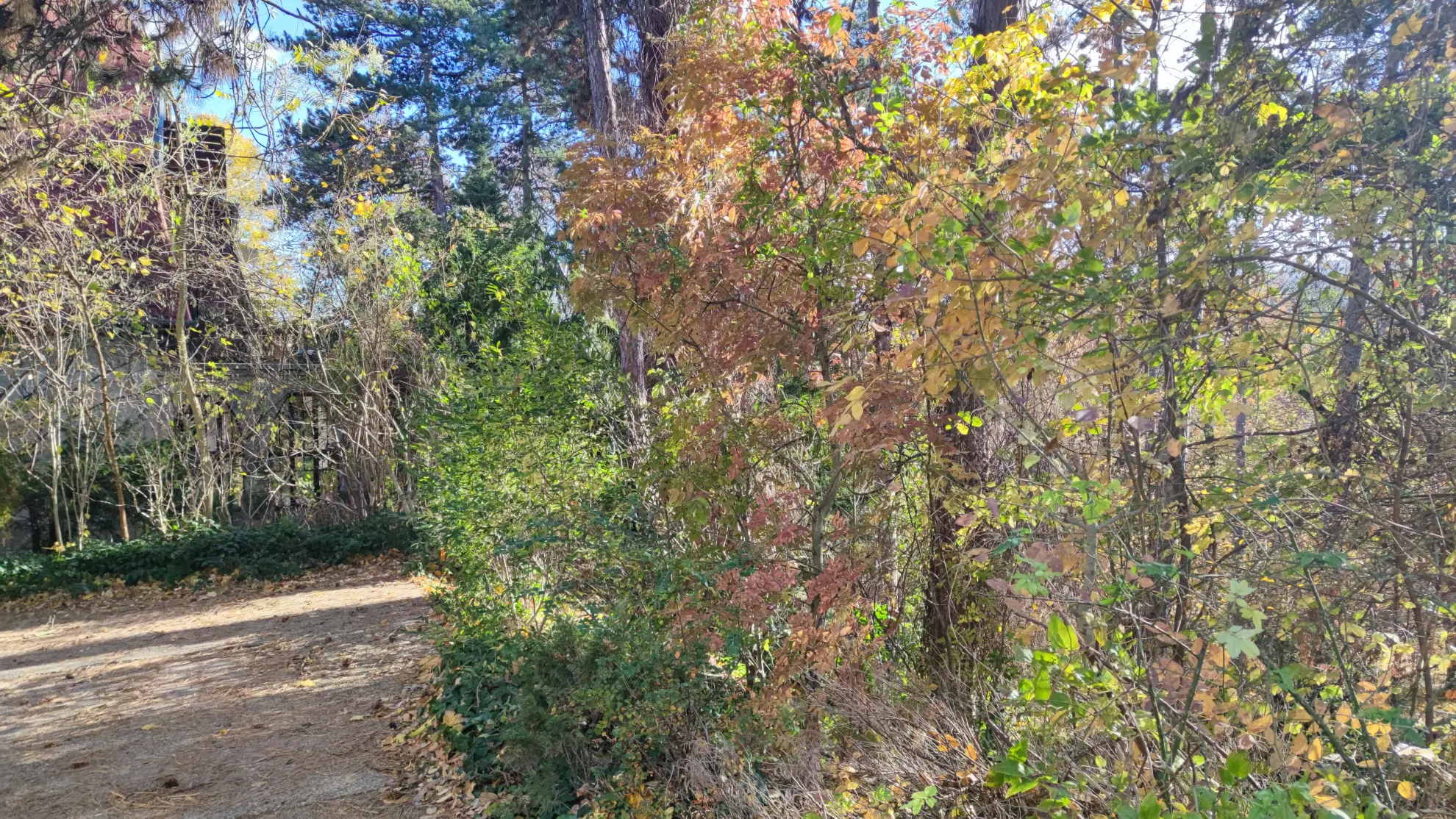 Kiadó albérlet 380000 Ft/hó áron: Budapest, II. kerület  Széher út. Mérete: 98 nm, 4 szobás | Alberlet.hu - 6580790