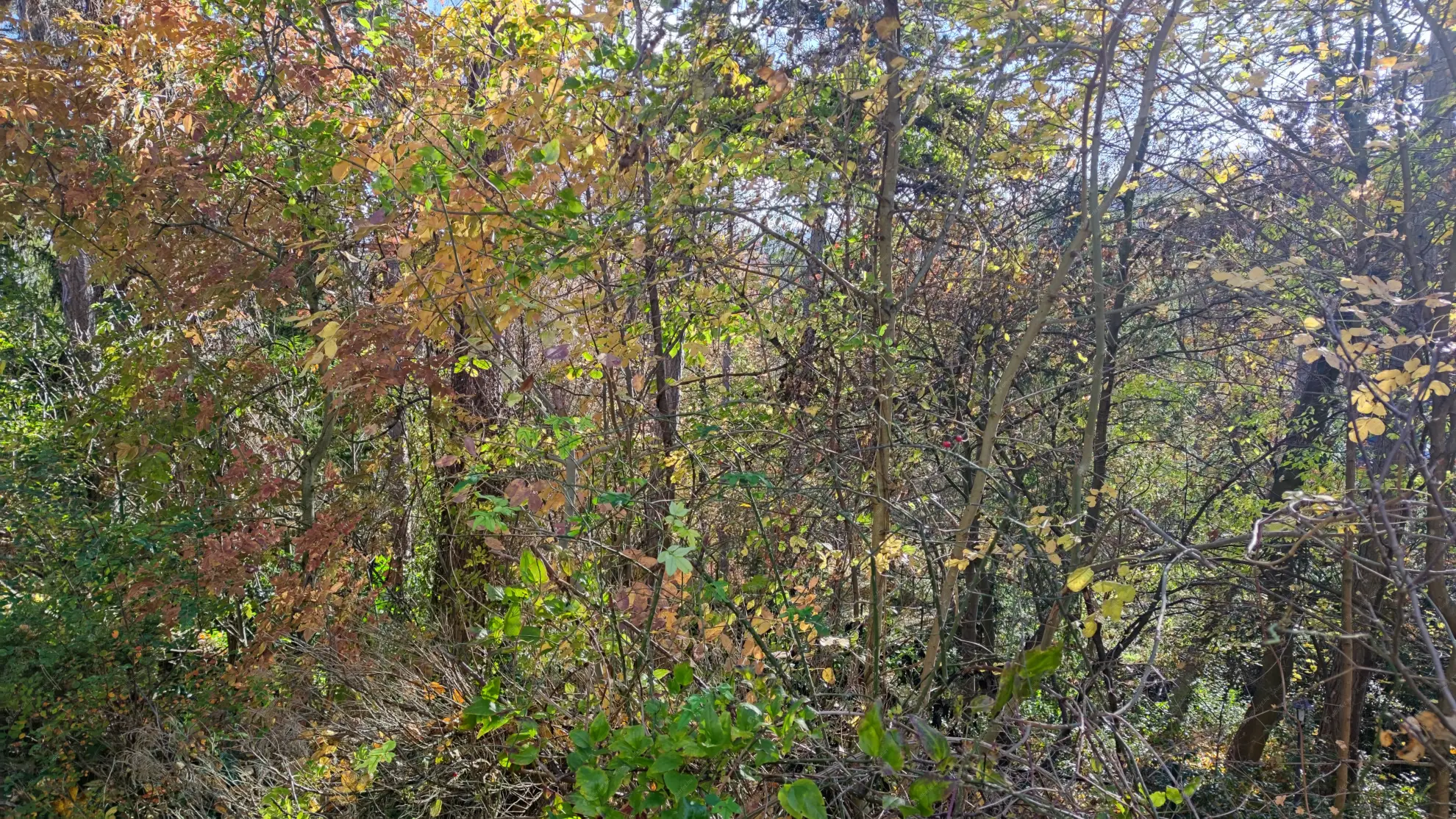 Kiadó albérlet 380000 Ft/hó áron: Budapest, II. kerület  Széher út. Mérete: 98 nm, 4 szobás | Alberlet.hu - 6580791