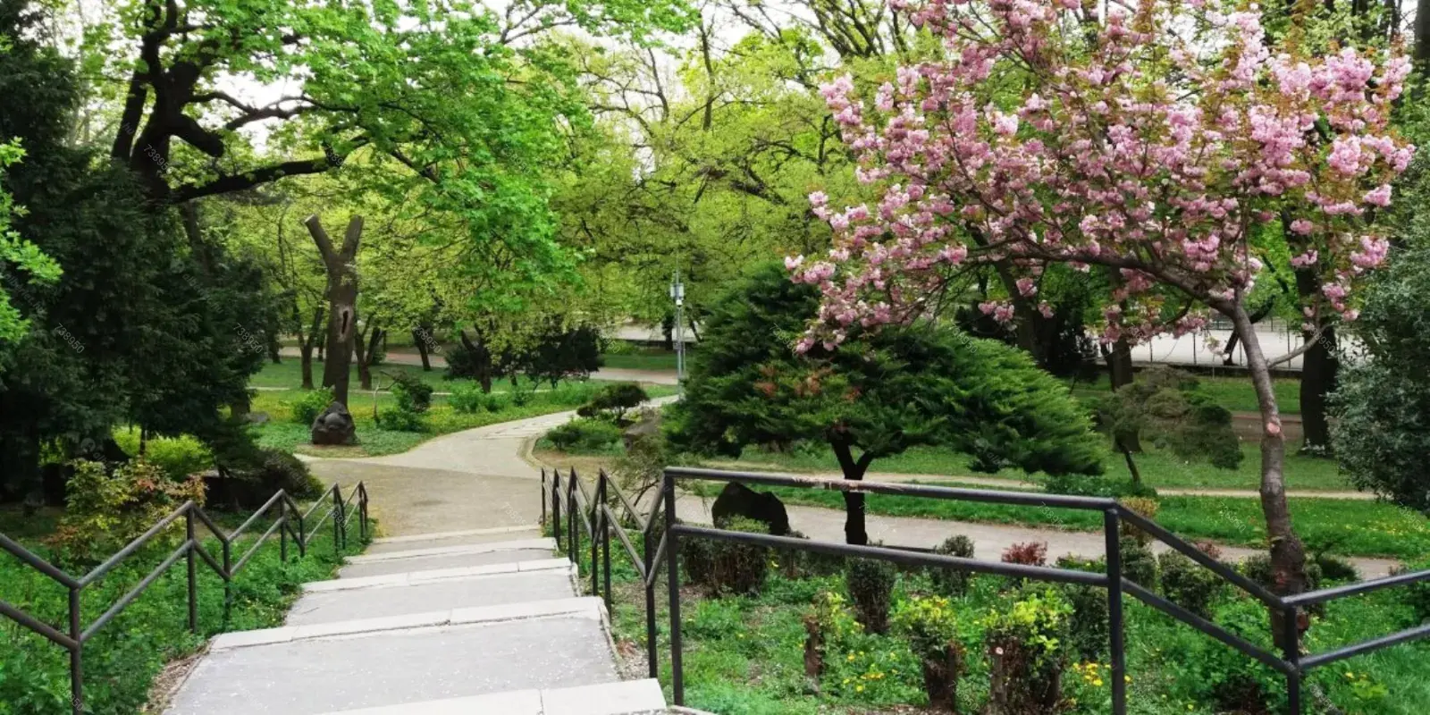 Kiadó albérlet 340000 Ft/hó áron: Budapest, II. kerület  Szilágyi Erzsébet fasor. Mérete: 74 nm, 3 szobás | Alberlet.hu - 6677305