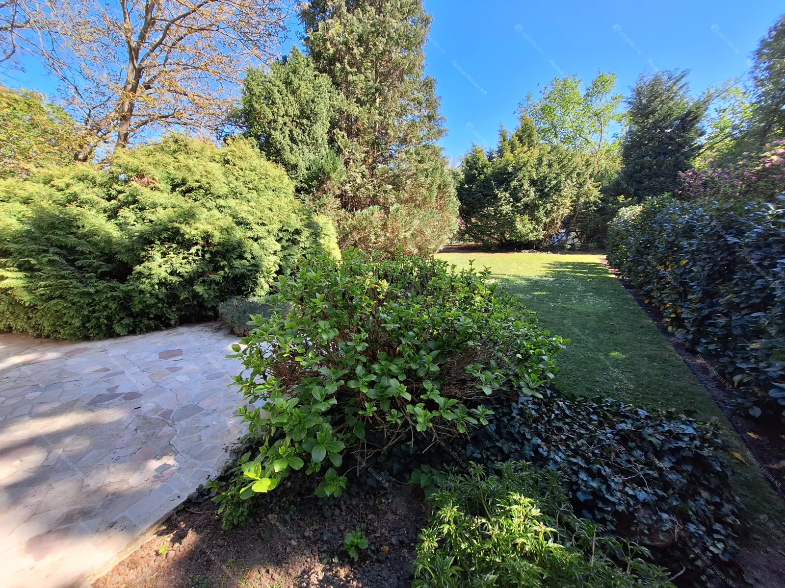 Kiadó albérlet 1166000 Ft/hó áron: Budapest, II. kerület  Tárnok utca. Mérete: 260 nm, 4 szobás | Alberlet.hu - 6707020