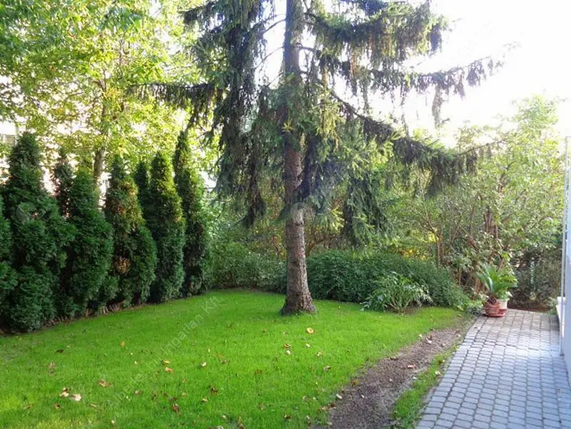 Kiadó albérlet 400000 Ft/hó áron: Budapest, II. kerület  Törökvész út. Mérete: 70 nm, 2 szobás | Alberlet.hu - 6558353