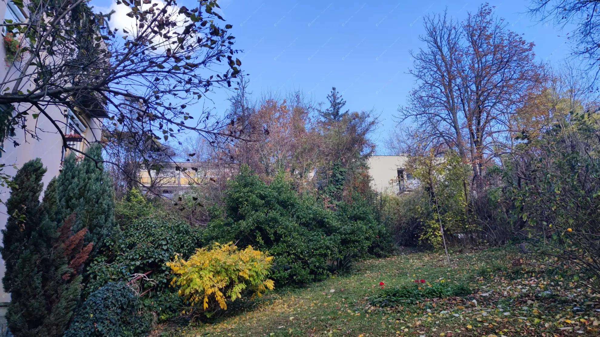 Kiadó albérlet 230000 Ft/hó áron: Budapest, II. kerület  Trombitás u. . Mérete: 50 nm, 2 szobás | Alberlet.hu - 6575802