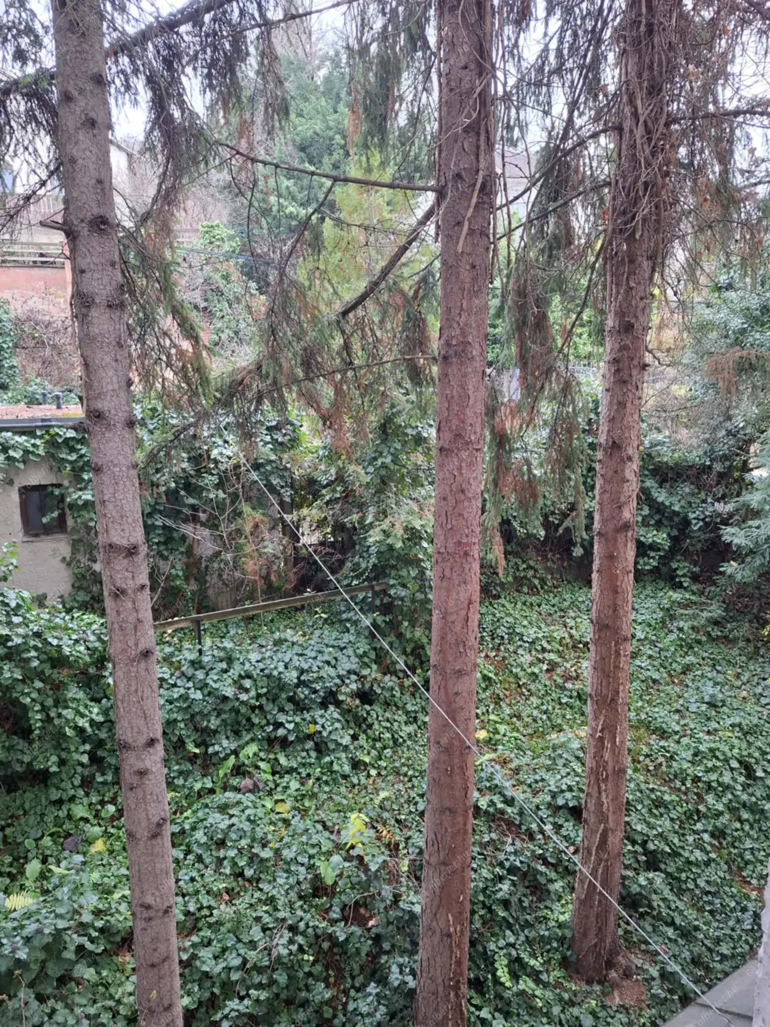 Kiadó albérlet 200000 Ft/hó áron: Budapest, II. kerület  Vöröstorony utca. Mérete: 38 nm, 1 szobás | Alberlet.hu - 6633839