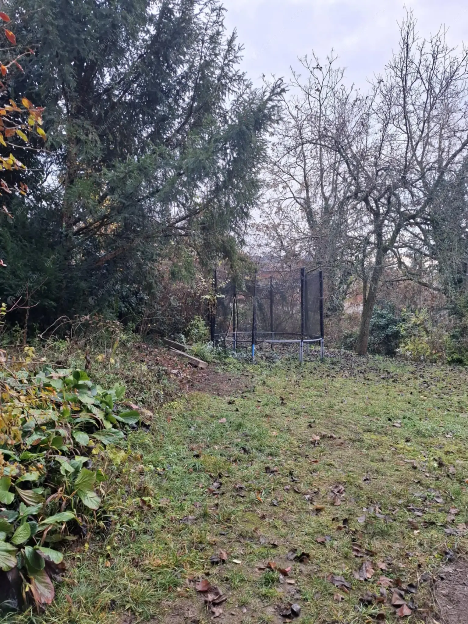 Kiadó albérlet 200000 Ft/hó áron: Budapest, II. kerület  Vöröstorony utca. Mérete: 38 nm, 1 szobás | Alberlet.hu - 6633843