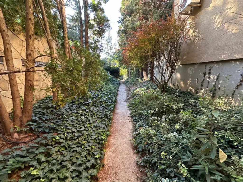 Kiadó albérlet 962000 Ft/hó áron: Budapest, II. kerület  Zöldkő utca. Mérete: 230 nm, 4 szobás | Alberlet.hu - 6567892