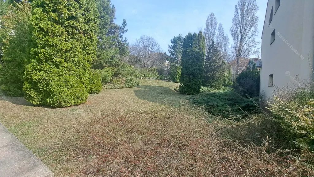 Kiadó albérlet 441000 Ft/hó áron: Budapest, II. kerület  Zöldkő utca. Mérete: 80 nm, 2 szobás | Alberlet.hu - 6679526