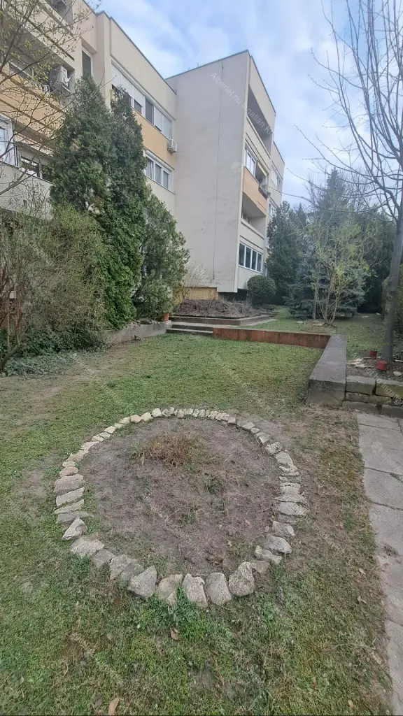 Kiadó albérlet 250000 Ft/hó áron: Budapest, II. kerület  Zöldlomb utca. Mérete: 55 nm, 2 szobás | Alberlet.hu - 6687428