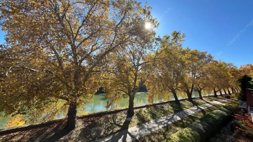 Kiadó albérlet 450000 Ft/hó áron: Budapest, III. kerület  Almási Balogh Lóránd utca. Mérete: 80 nm, 3 szobás | Alberlet.hu - 6595081