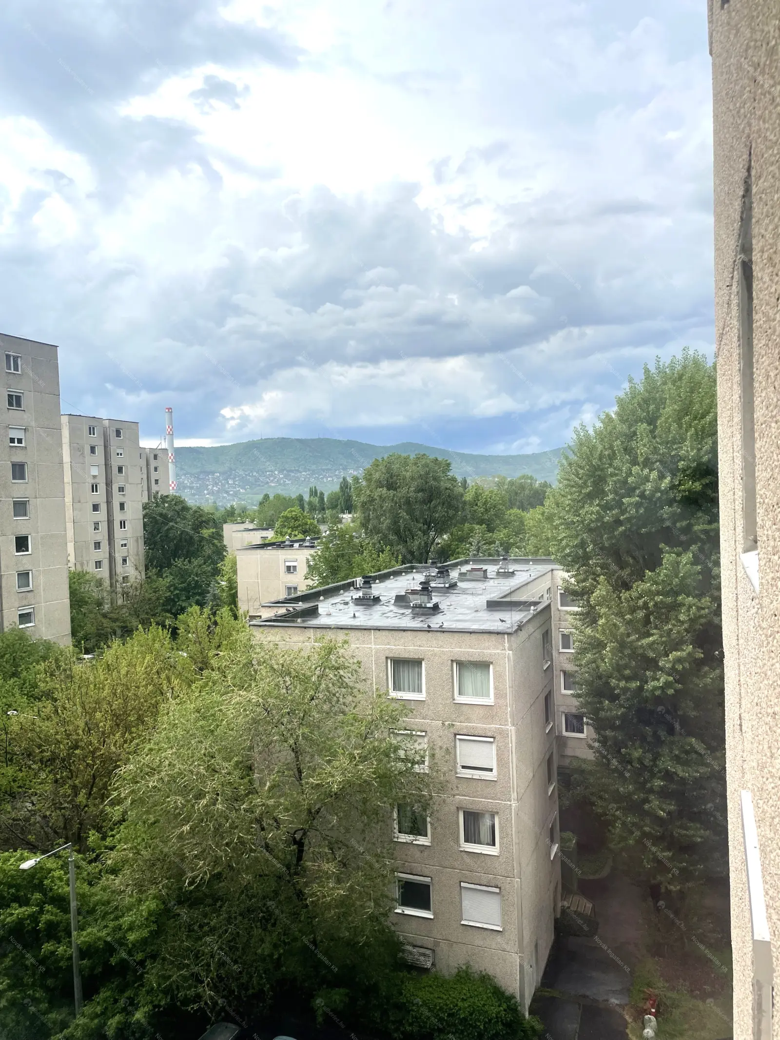 Kiadó albérlet 250000 Ft/hó áron: Budapest, III. kerület  Amfiteátrum utca. Mérete: 51 nm, 2 szobás | Alberlet.hu - 6574654