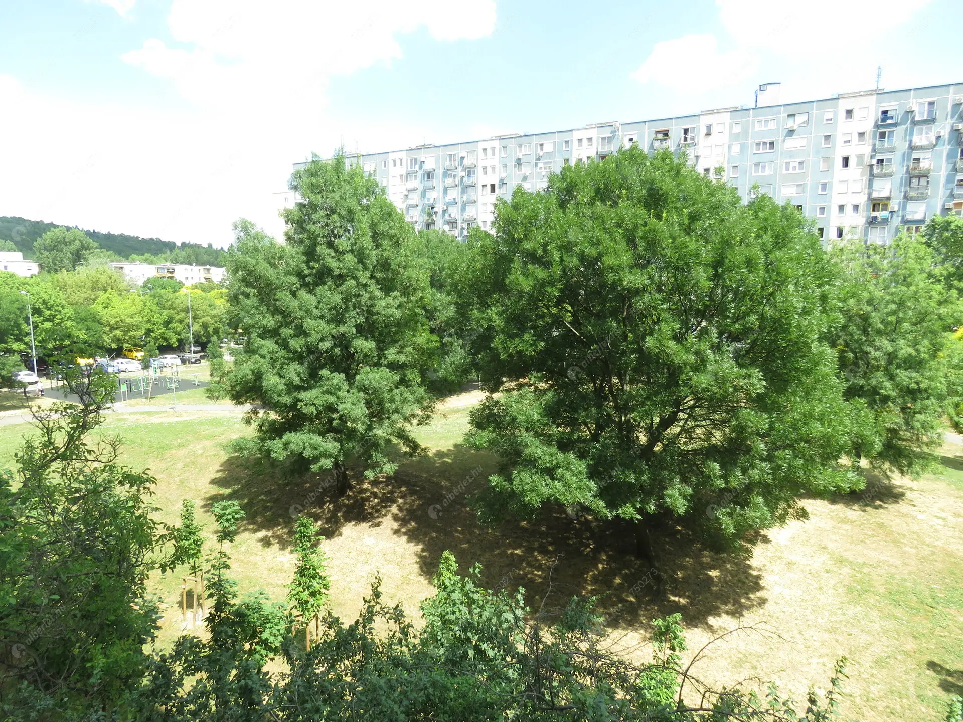 Kiadó albérlet 250000 Ft/hó áron: Budapest, III. kerület  Bálint György utca. Mérete: 57 nm, 1 szobás | Alberlet.hu - 6300338