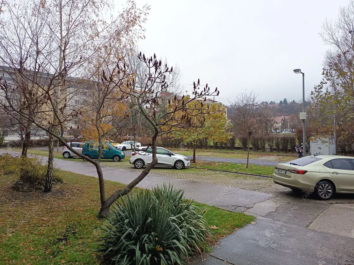 Kiadó albérlet 200000 Ft/hó áron: Budapest, III. kerület  Bóbita utca. Mérete: 47 nm, 1 szobás | Alberlet.hu - 6592382