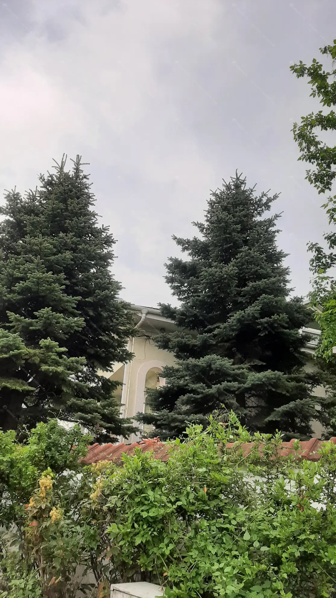 Kiadó albérlet 220000 Ft/hó áron: Budapest, III. kerület  Farkastorki lejtő. Mérete: 50 nm, 1 szobás | Alberlet.hu - 6600700