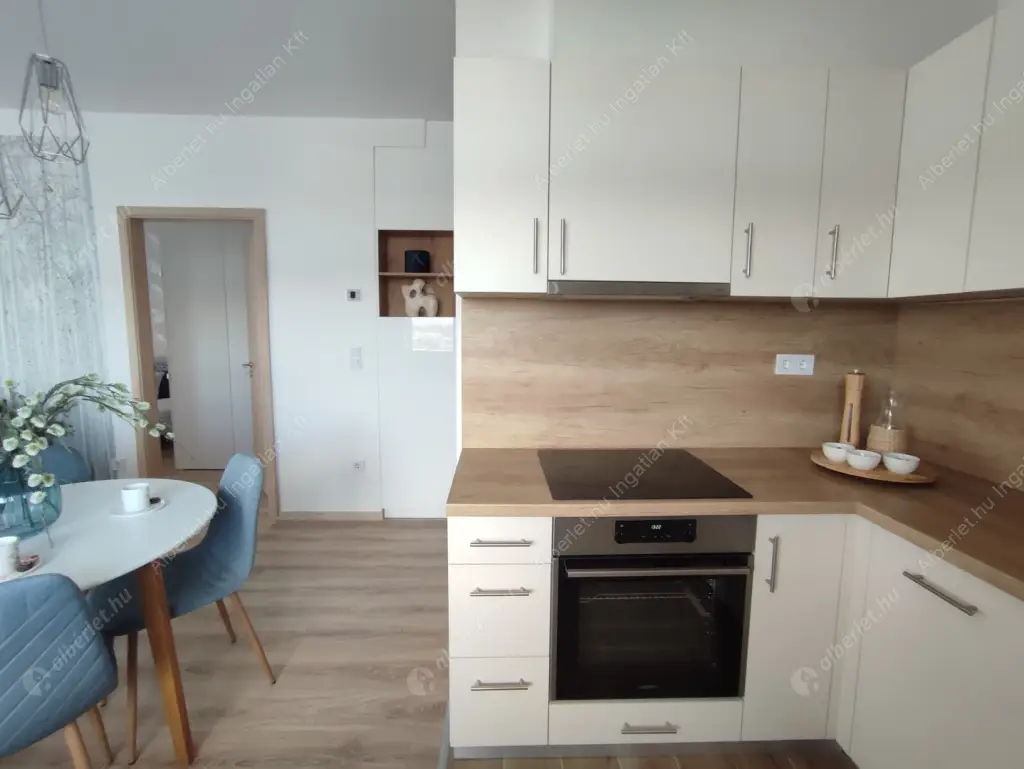 Kiadó albérlet 460000 Ft/hó áron: Budapest, III. kerület  Folyamőr utca. Mérete: 63 nm, 3 szobás | Alberlet.hu - 6611071
