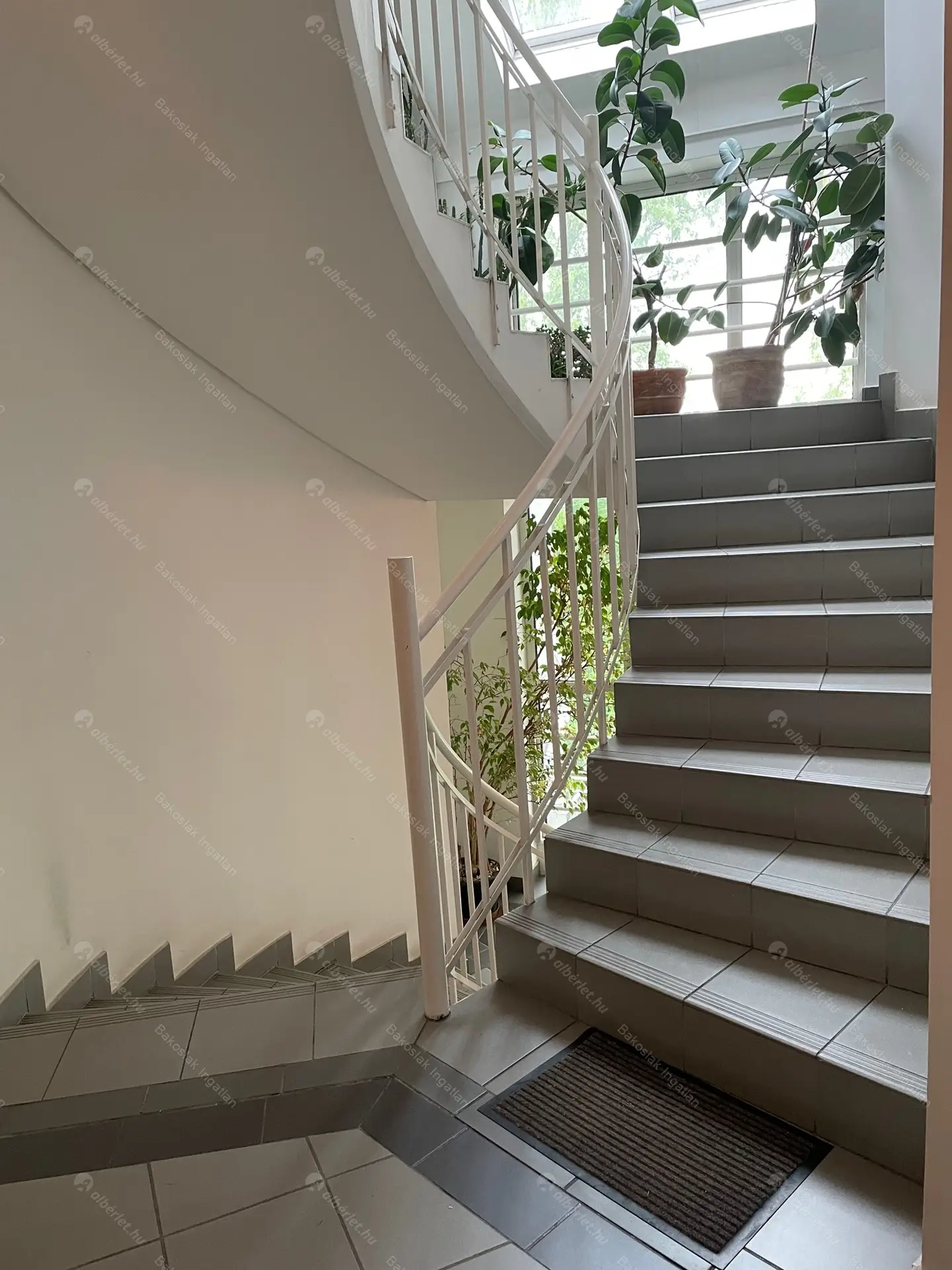 Kiadó albérlet 855000 Ft/hó áron: Budapest, III. kerület  Folyondár utca. Mérete: 120 nm, 4 szobás | Alberlet.hu - 5655929