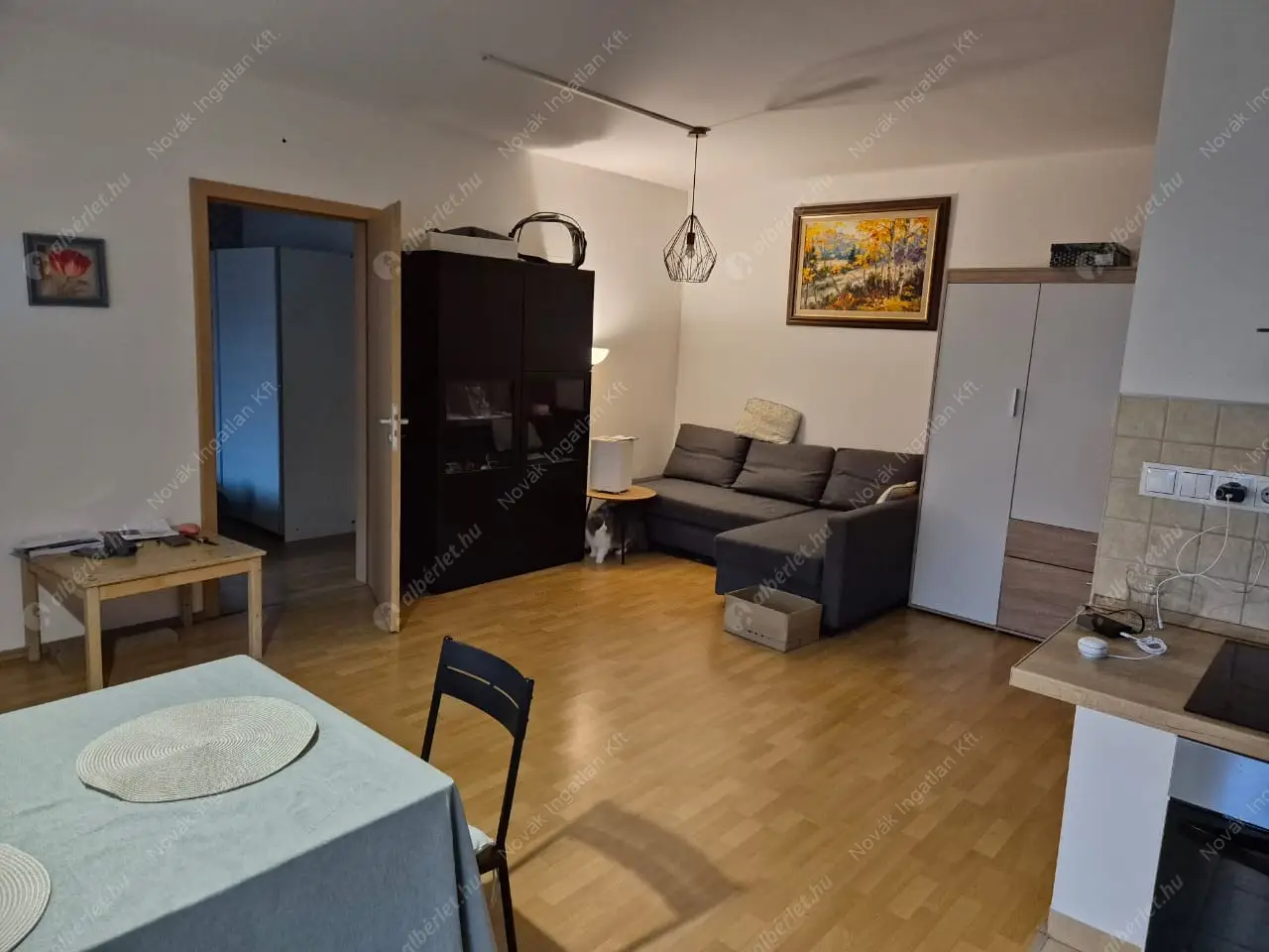 Kiadó albérlet 290000 Ft/hó áron: Budapest, III. kerület  Hunor utca. Mérete: 51 nm, 1 szobás | Alberlet.hu - 6620738