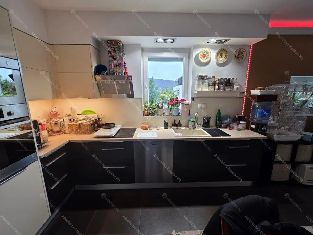 Kiadó albérlet 500000 Ft/hó áron: Budapest, III. kerület  Iglice utca. Mérete: 95 nm, 3 szobás | Alberlet.hu - 6651375