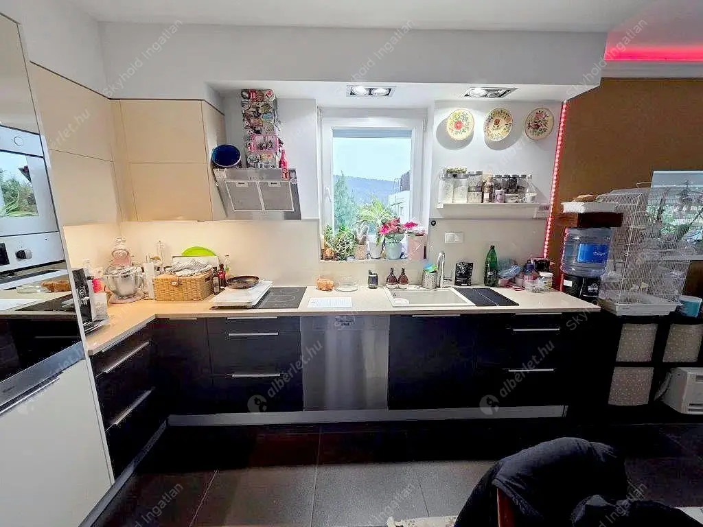 Kiadó albérlet 490000 Ft/hó áron: Budapest, III. kerület  Iglice utca. Mérete: 95 nm, 4 szobás | Alberlet.hu - 6590988