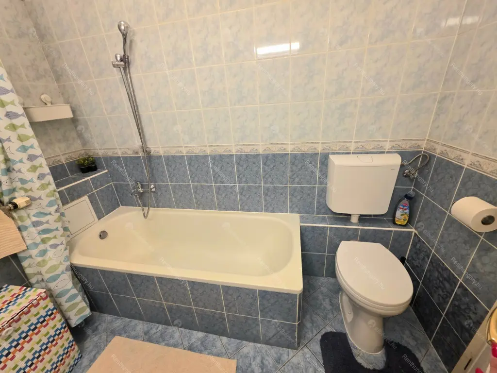 Kiadó albérlet 250000 Ft/hó áron: Budapest, III. kerület  Kiscelli utca. Mérete: 53 nm, 2 szobás | Alberlet.hu - 6689429