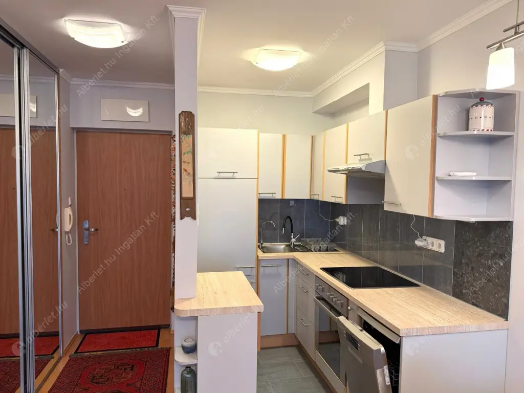 Kiadó albérlet 300000 Ft/hó áron: Budapest, III. kerület  Lajos utca. Mérete: 49 nm, 1 szobás | Alberlet.hu - 6618198
