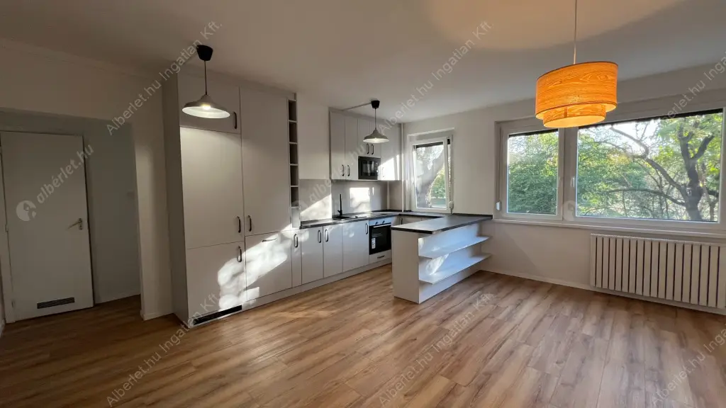 Kiadó albérlet 250000 Ft/hó áron: Budapest, III. kerület  Lőpormalom utca. Mérete: 46 nm, 1 szobás | Alberlet.hu - 6564011