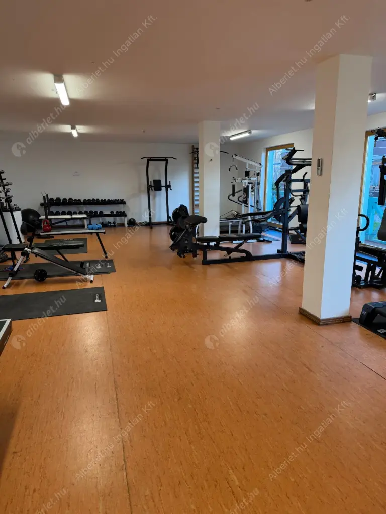 Kiadó albérlet 370000 Ft/hó áron: Budapest, III. kerület  Nánási  út . Mérete: 55 nm, 1 szobás | Alberlet.hu - 6608815