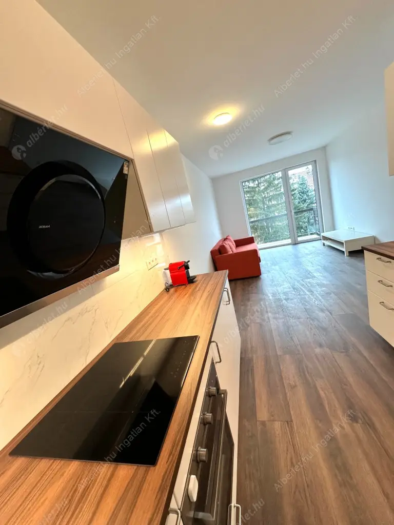 Kiadó albérlet 320000 Ft/hó áron: Budapest, III. kerület  Pacsirtamező utca. Mérete: 48 nm, 2 szobás | Alberlet.hu - 6631704