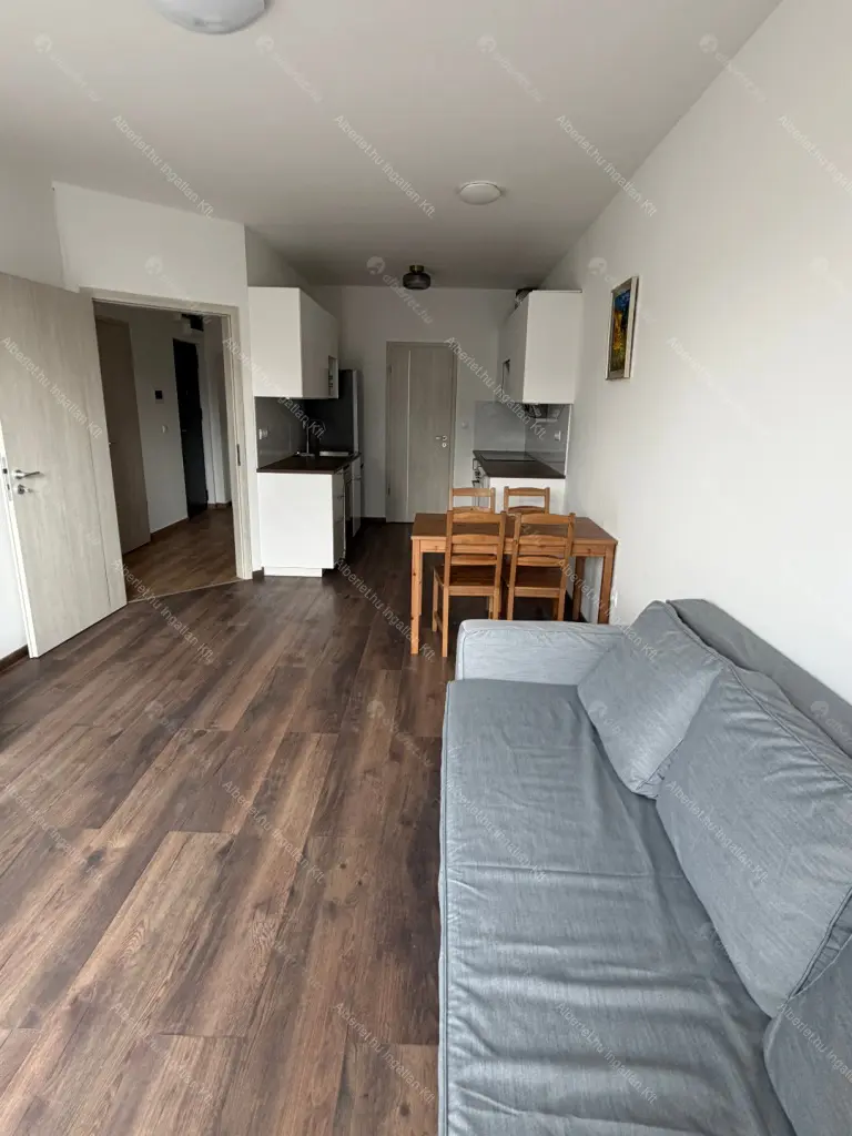 Kiadó albérlet 300000 Ft/hó áron: Budapest, III. kerület  Pacsirtamező utca. Mérete: 48 nm, 2 szobás | Alberlet.hu - 6679633