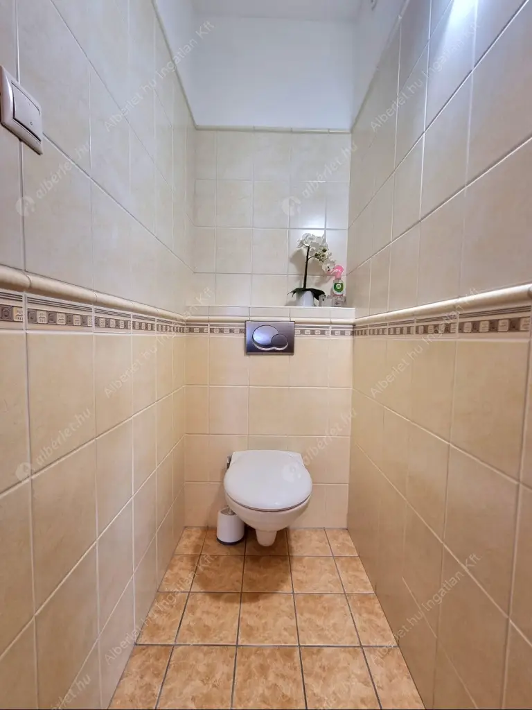 Kiadó albérlet 290000 Ft/hó áron: Budapest, III. kerület  Pacsirtamező utca. Mérete: 54 nm, 2 szobás | Alberlet.hu - 6585506