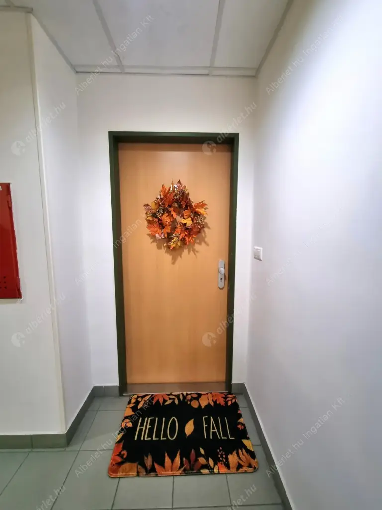 Kiadó albérlet 290000 Ft/hó áron: Budapest, III. kerület  Pacsirtamező utca. Mérete: 54 nm, 2 szobás | Alberlet.hu - 6585514