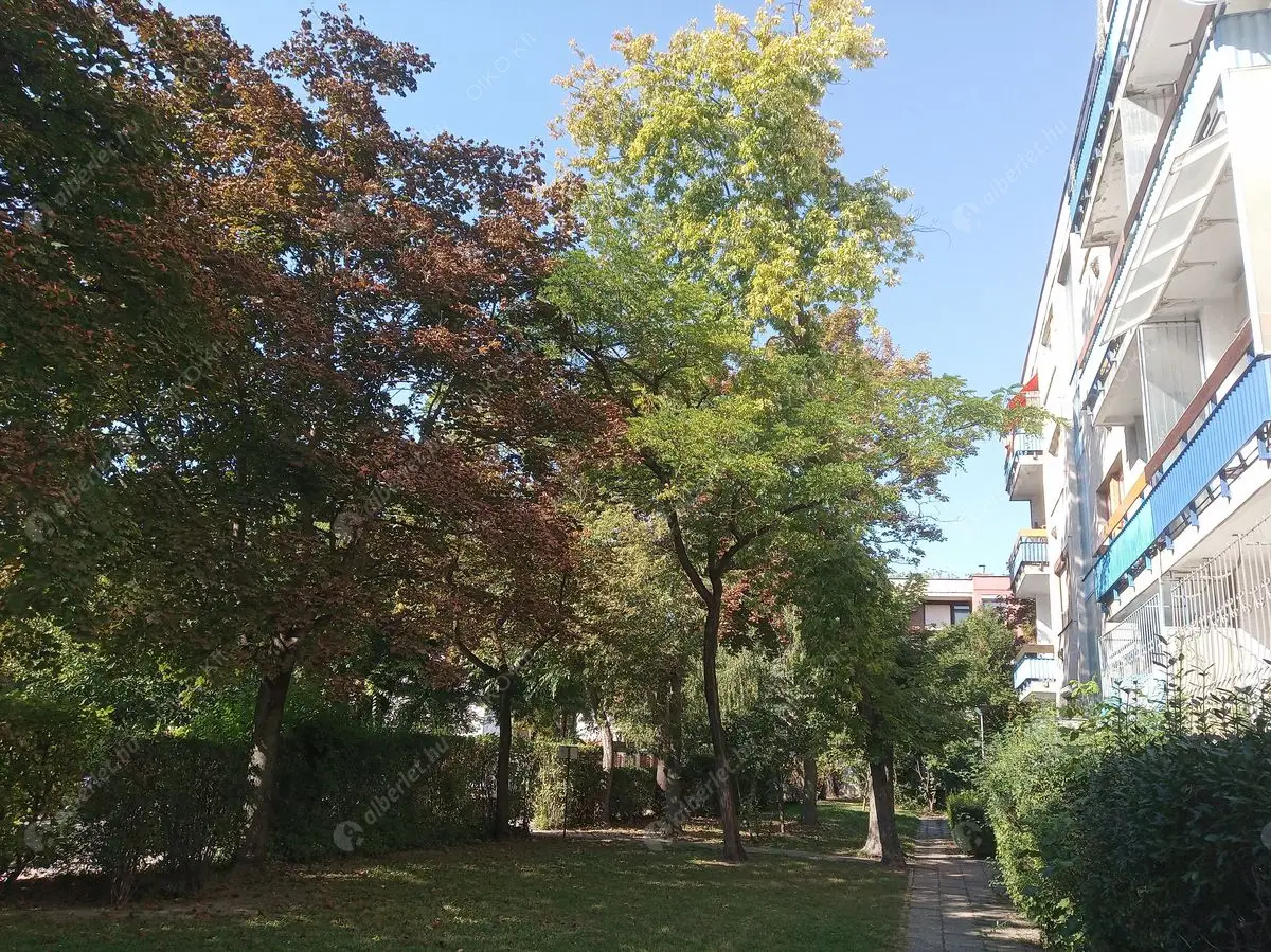 Kiadó albérlet 220000 Ft/hó áron: Budapest, III. kerület  Palicsi utca. Mérete: 48 nm, 1 szobás | Alberlet.hu - 6569819