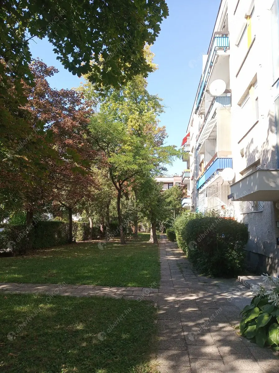 Kiadó albérlet 220000 Ft/hó áron: Budapest, III. kerület  Palicsi utca. Mérete: 48 nm, 1 szobás | Alberlet.hu - 6569820