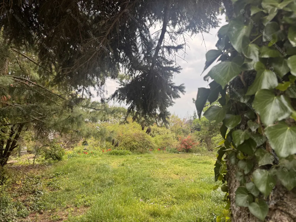 Kiadó albérlet 450000 Ft/hó áron: Budapest, III. kerület  Remetehegyi út. Mérete: 72 nm, 2 szobás | Alberlet.hu - 6701334