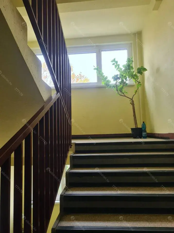 Kiadó albérlet 250000 Ft/hó áron: Budapest, III. kerület  Szél utca. Mérete: 50 nm, 2 szobás | Alberlet.hu - 6699241