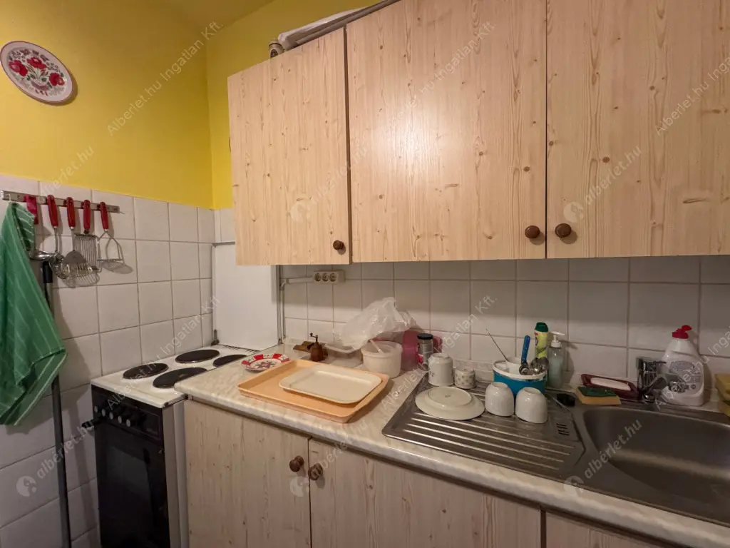 Kiadó albérlet 220000 Ft/hó áron: Budapest, III. kerület  Szentendrei út. Mérete: 51 nm, 1 szobás | Alberlet.hu - 6619521