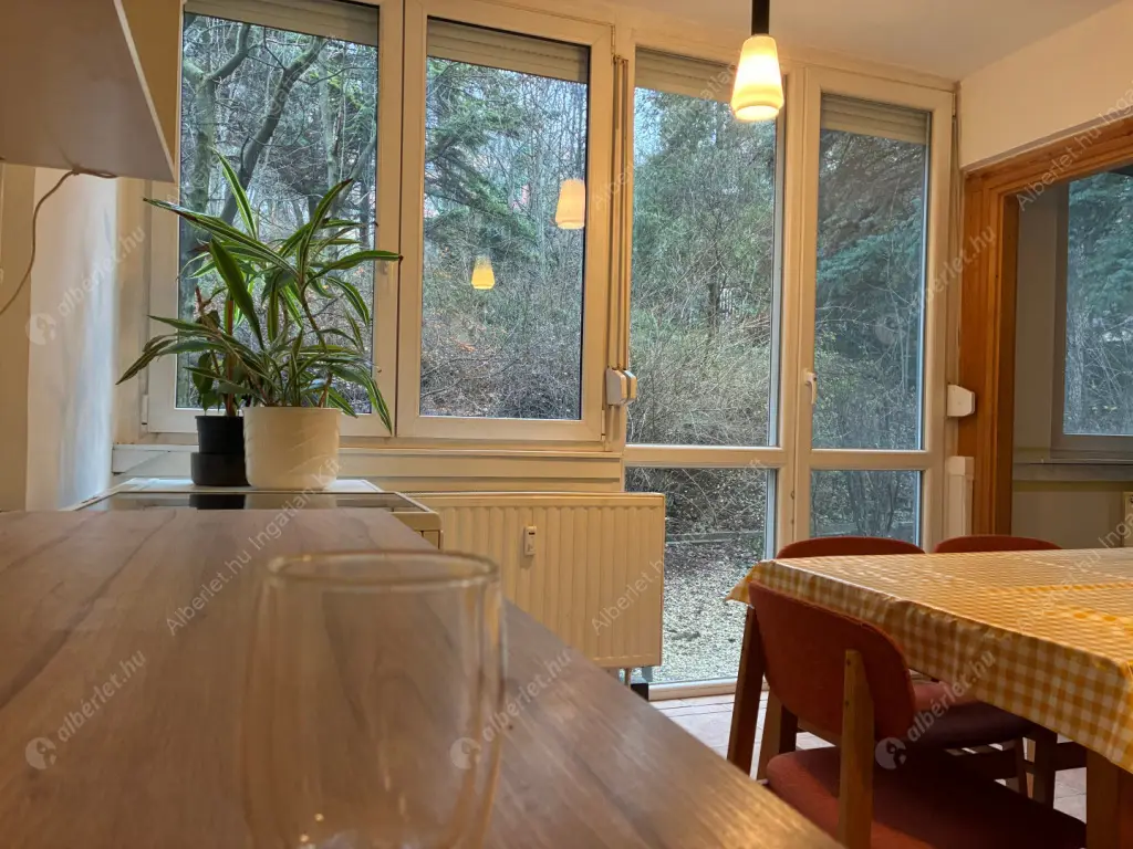 Kiadó albérlet 240000 Ft/hó áron: Budapest, III. kerület  Toboz utca. Mérete: 52 nm, 1 szobás | Alberlet.hu - 6629728