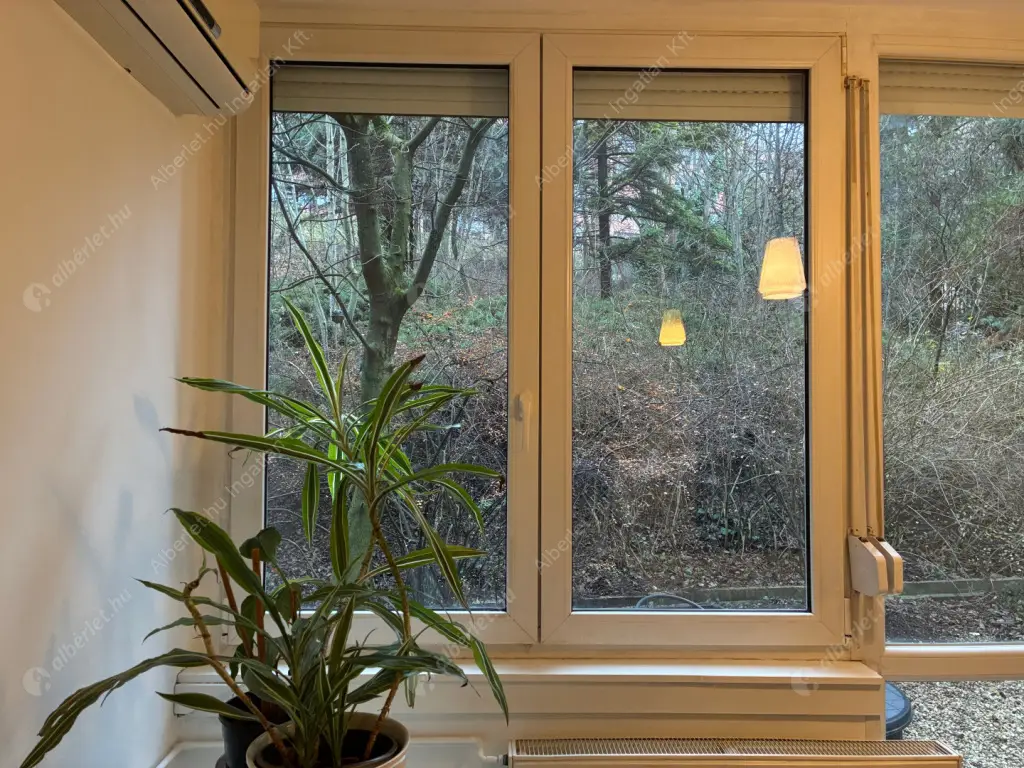 Kiadó albérlet 240000 Ft/hó áron: Budapest, III. kerület  Toboz utca. Mérete: 52 nm, 1 szobás | Alberlet.hu - 6629729