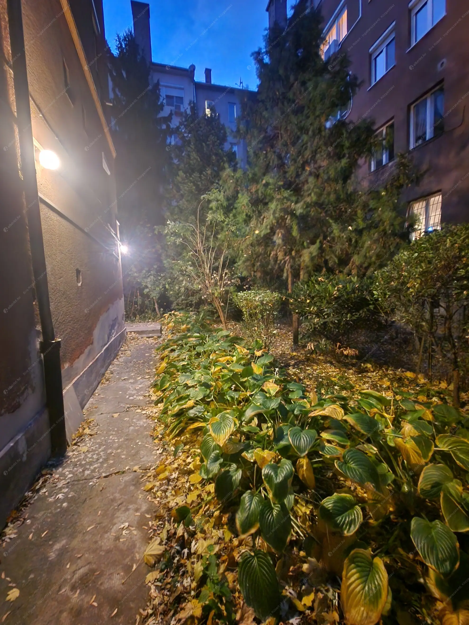 Kiadó albérlet 200000 Ft/hó áron: Budapest, III. kerület  Uszály utca. Mérete: 44 nm, 1 szobás | Alberlet.hu - 6572945