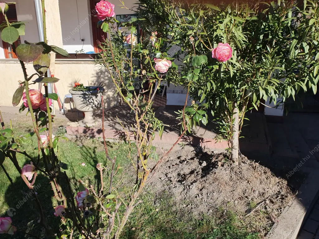 Kiadó albérlet 160000 Ft/hó áron: Budapest, IV. kerület  Aschner Lipót tér. Mérete: 35 nm, 1 szobás | Alberlet.hu - 6583791