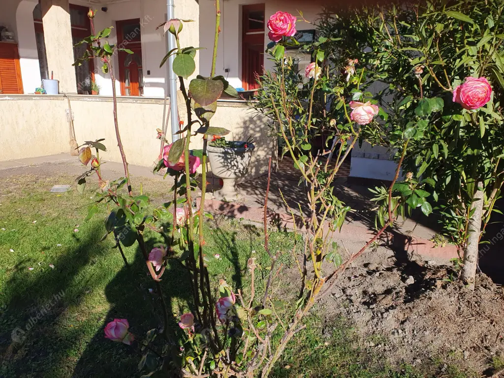 Kiadó albérlet 160000 Ft/hó áron: Budapest, IV. kerület  Aschner Lipót tér. Mérete: 35 nm, 1 szobás | Alberlet.hu - 6583792