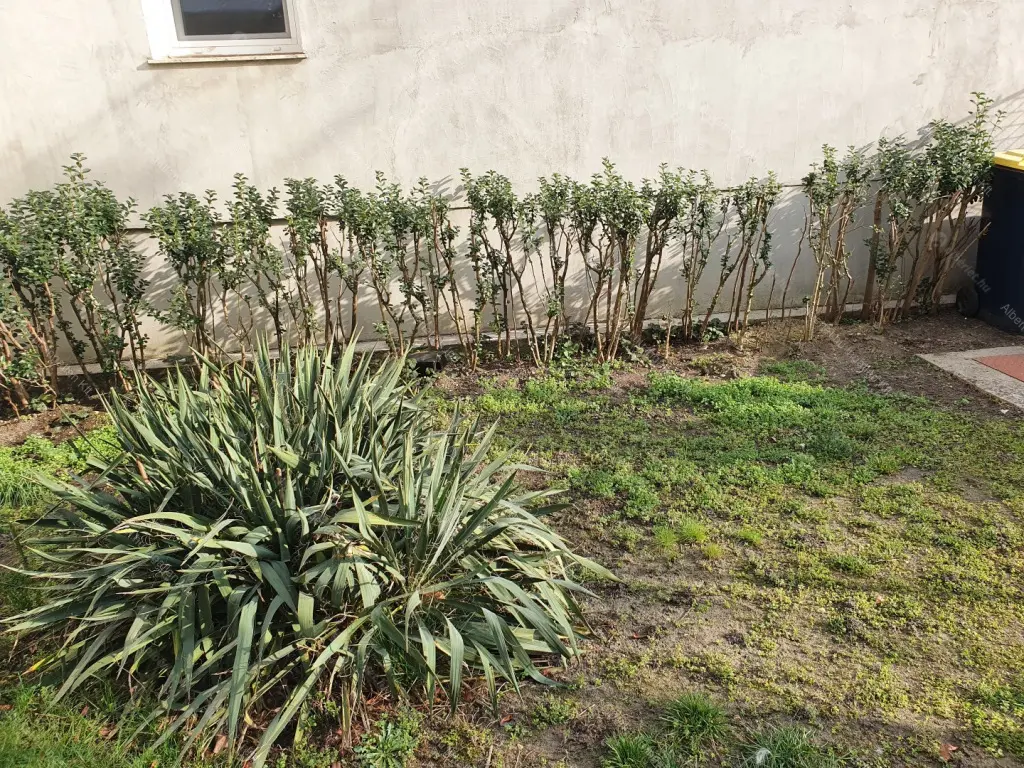 Kiadó albérlet 220000 Ft/hó áron: Budapest, IV. kerület  Thaly Kálmán utca. Mérete: 37 nm, 1 szobás | Alberlet.hu - 6697096