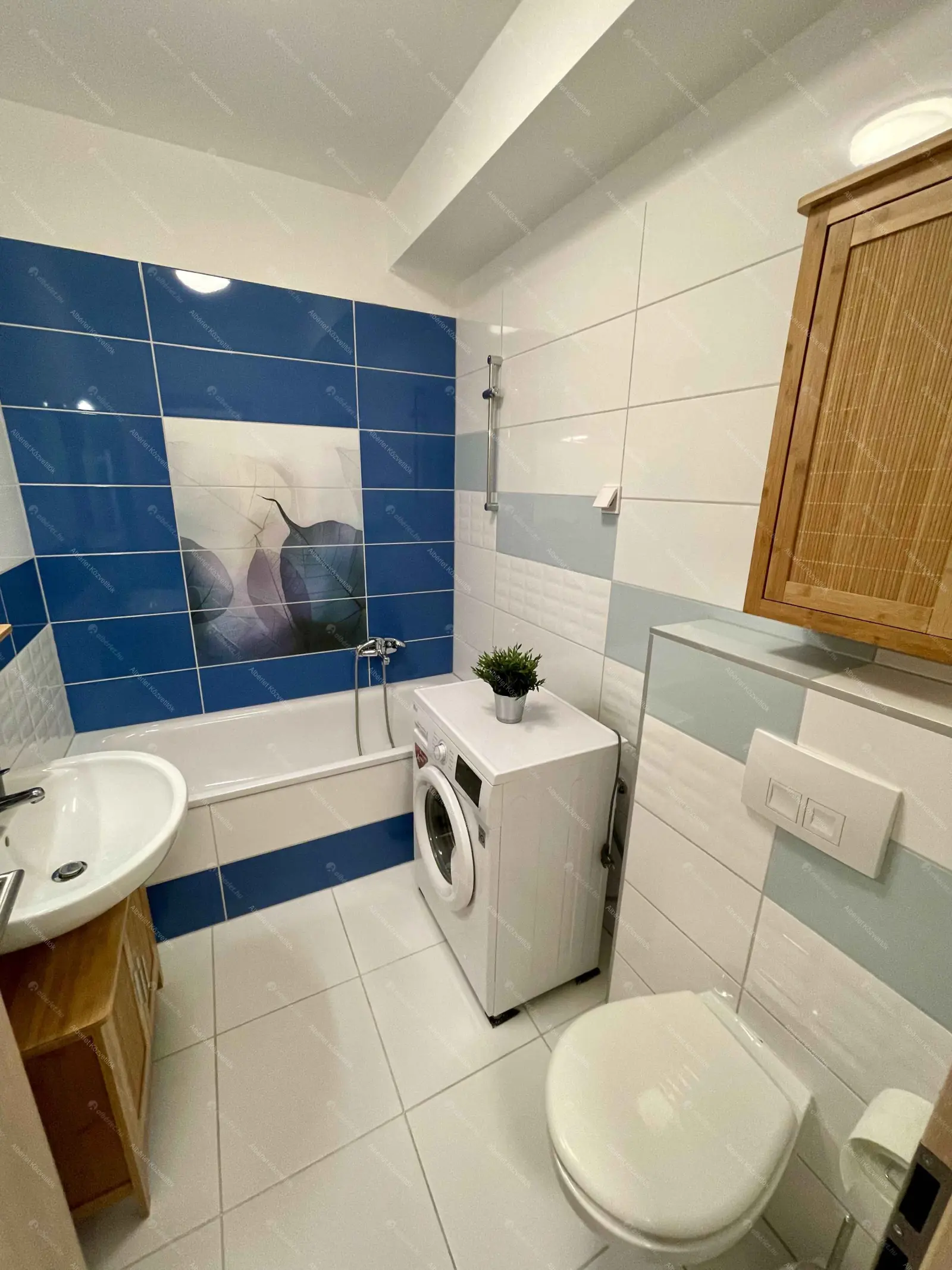 Kiadó albérlet 199000 Ft/hó áron: Budapest, IV. kerület  Wolfner utca. Mérete: 31 nm, 1 szobás | Alberlet.hu - 6709467