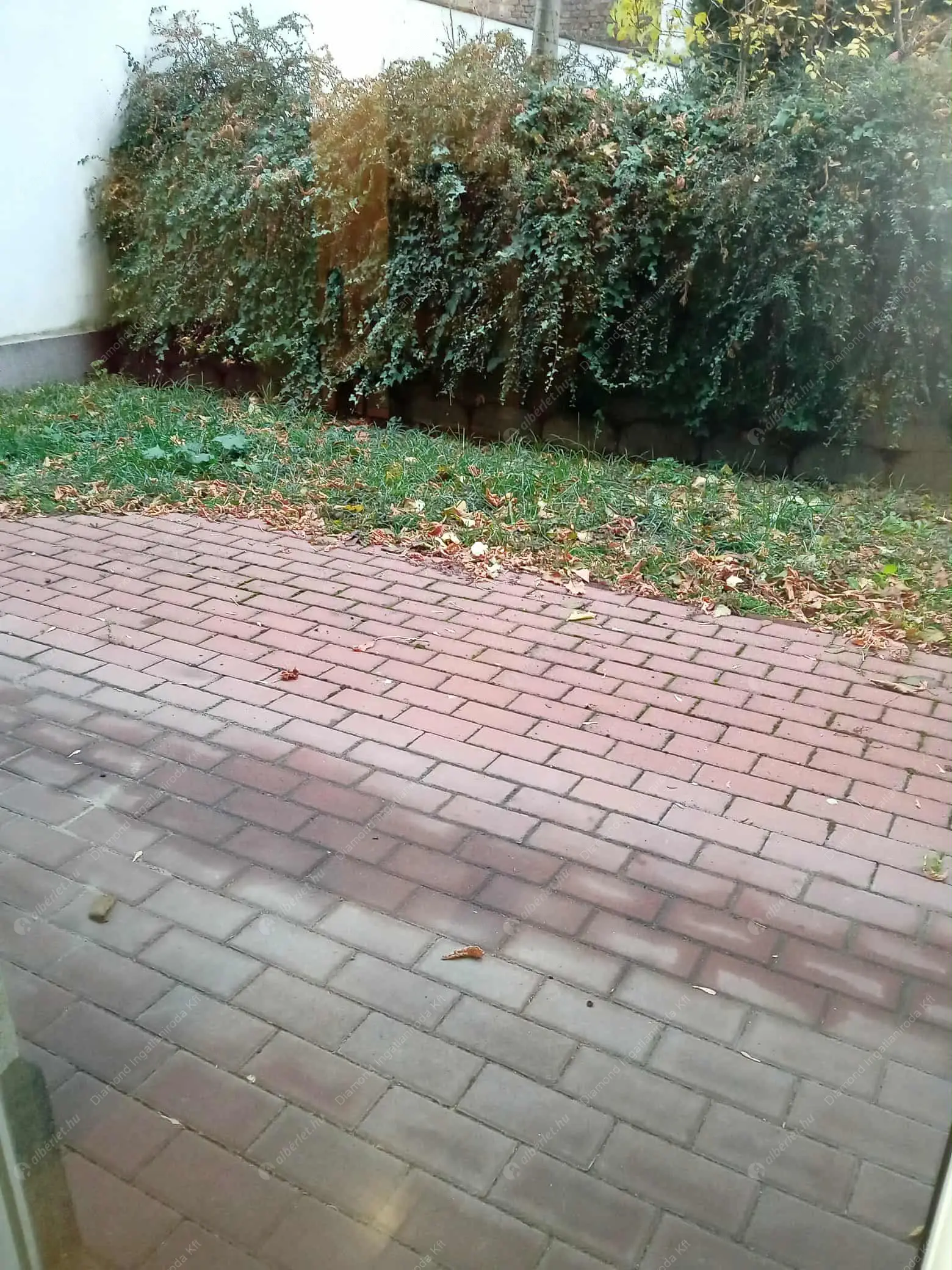 Kiadó albérlet 210000 Ft/hó áron: Budapest, IX. kerület  Balázs Béla utca. Mérete: 31 nm, 1 szobás | Alberlet.hu - 6628525