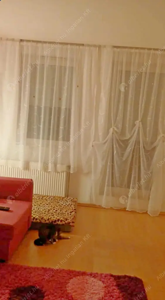 Kiadó albérlet 190000 Ft/hó áron: Budapest, IX. kerület  Balázs Béla utca. Mérete: 31 nm, 1 szobás | Alberlet.hu - 6637790