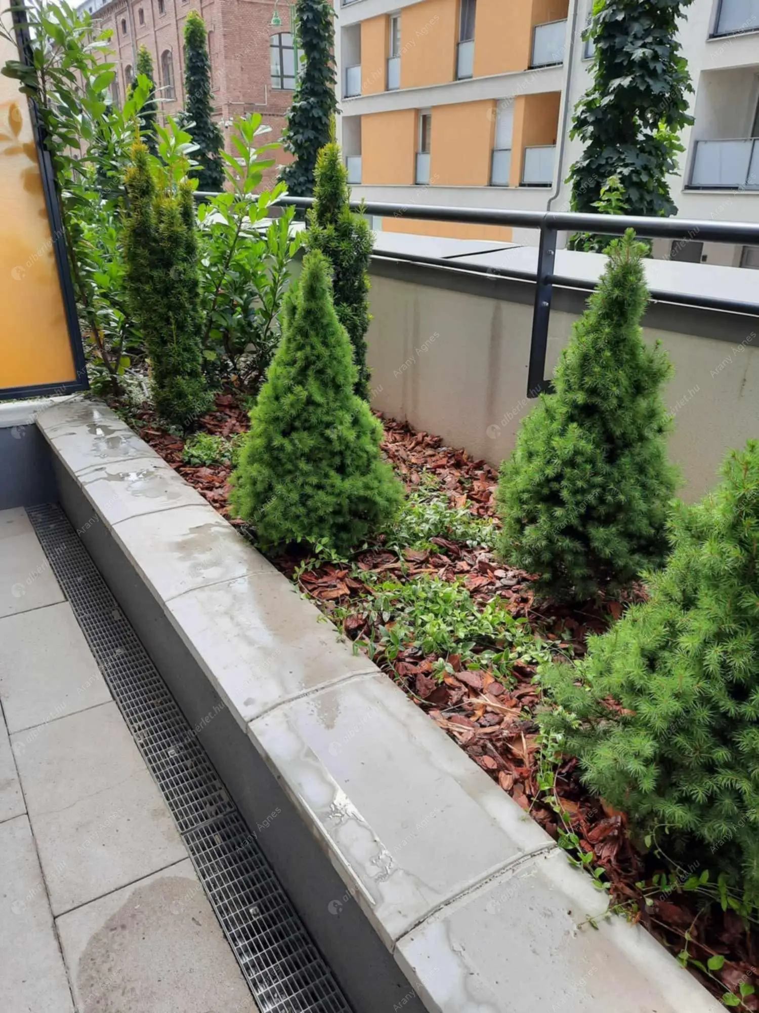 Kiadó albérlet 250000 Ft/hó áron: Budapest, IX. kerület  Balázs Béla utca. Mérete: 45 nm, 2 szobás | Alberlet.hu - 6621295